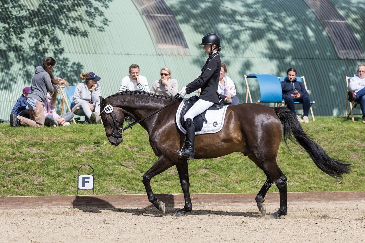 Bild 682 - Pony Akademie Turnier